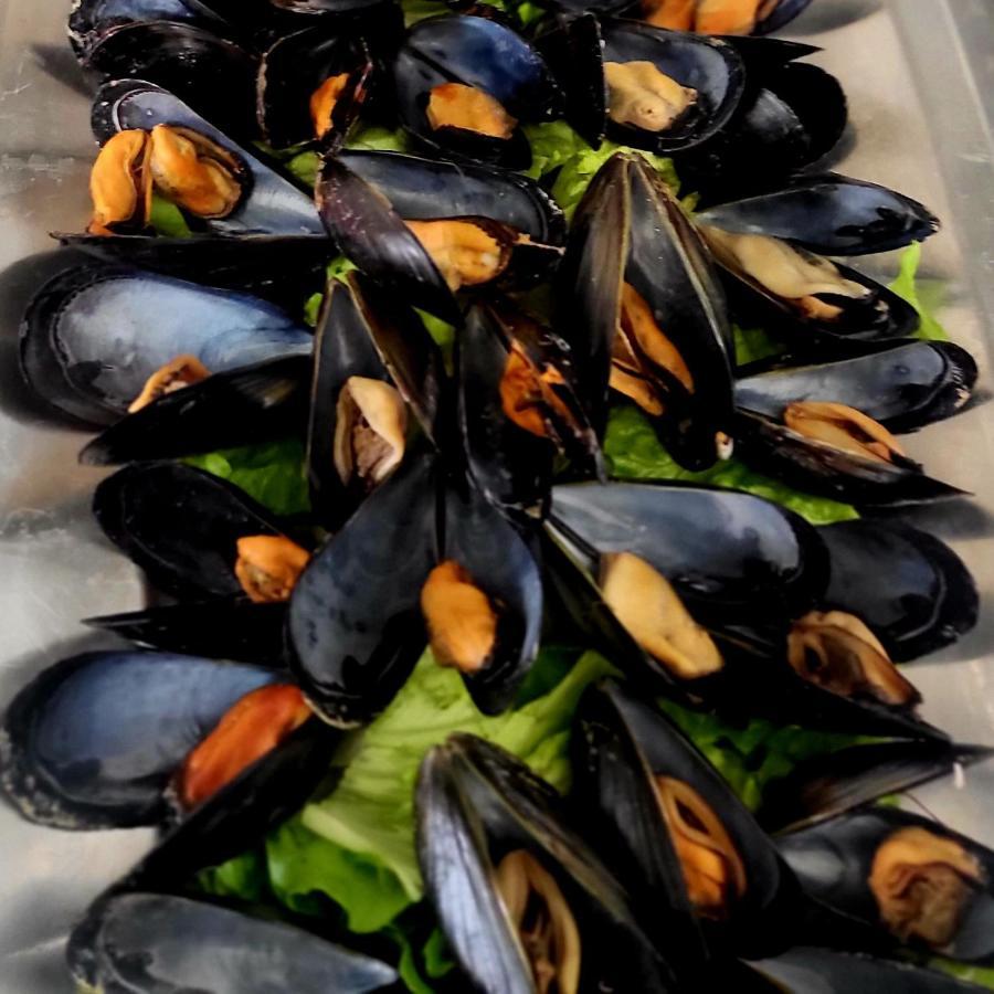 Hotel Derby Rimini Eksteriør bilde
